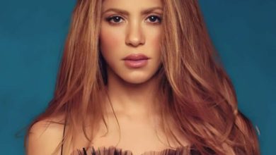 Photo of Shakira x BZRP – Music Sessions #53 (Dj Dark Remix)